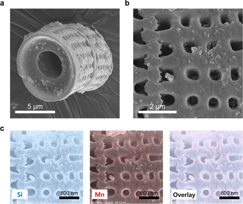 Fig. 2