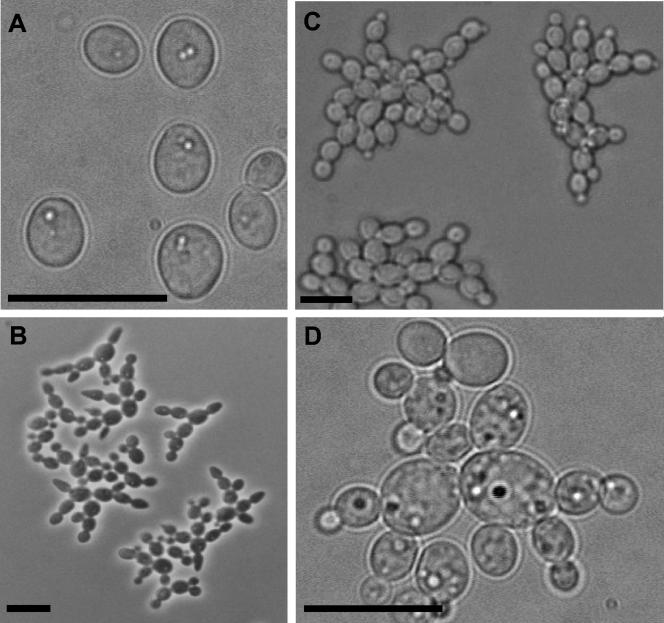 FIG. 5.