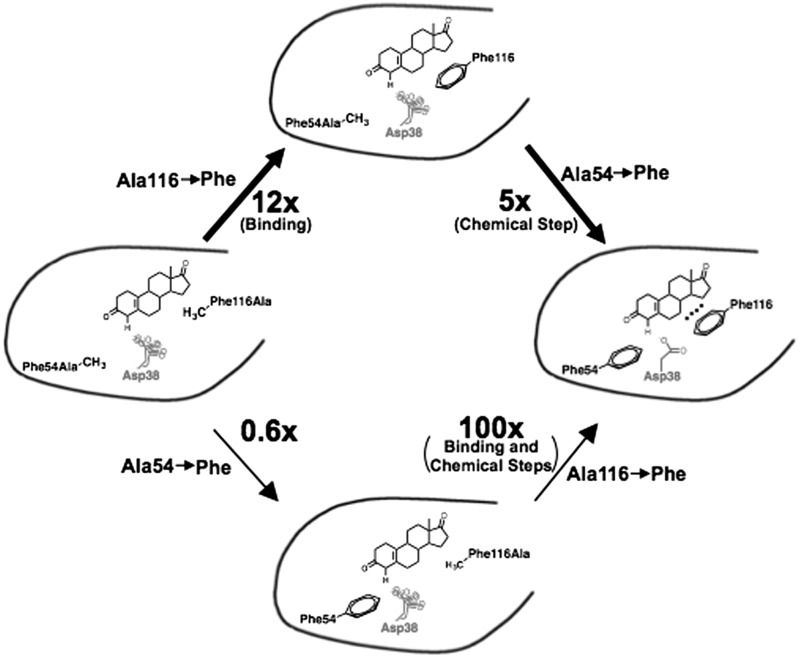 Fig. 9.