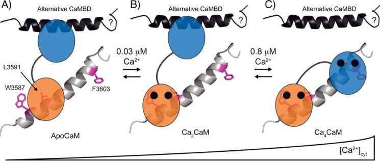 FIGURE 6.