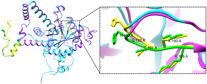 Figure 5