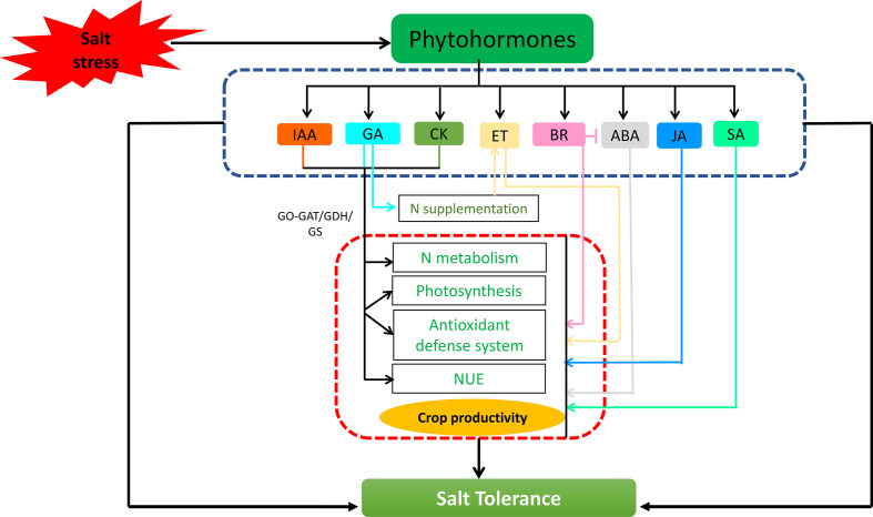 Figure 3