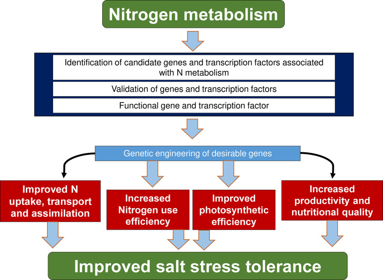 Figure 4