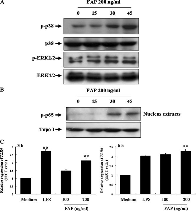 FIG. 6.