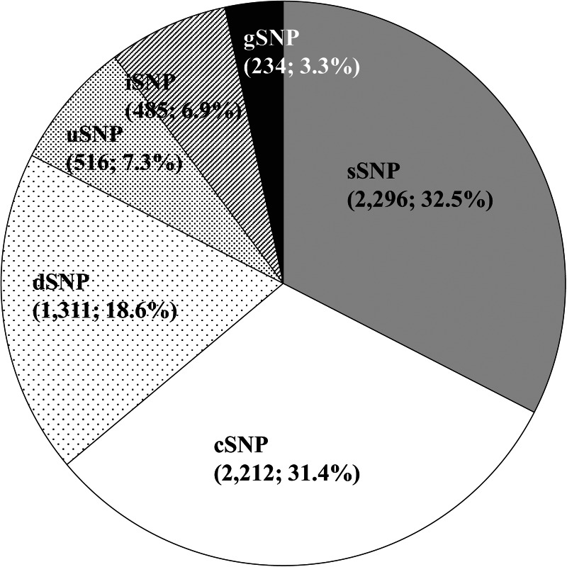 Figure 2.