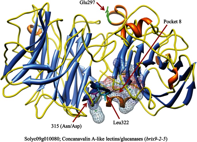 Figure 7.