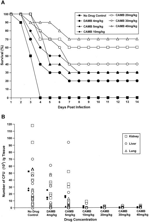 FIG. 2.