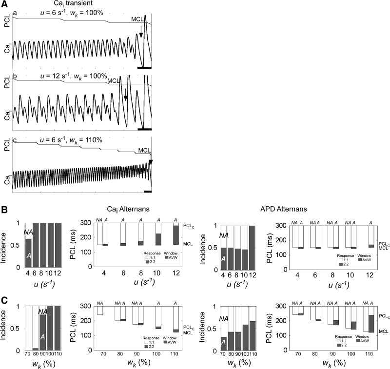 Fig. 4.