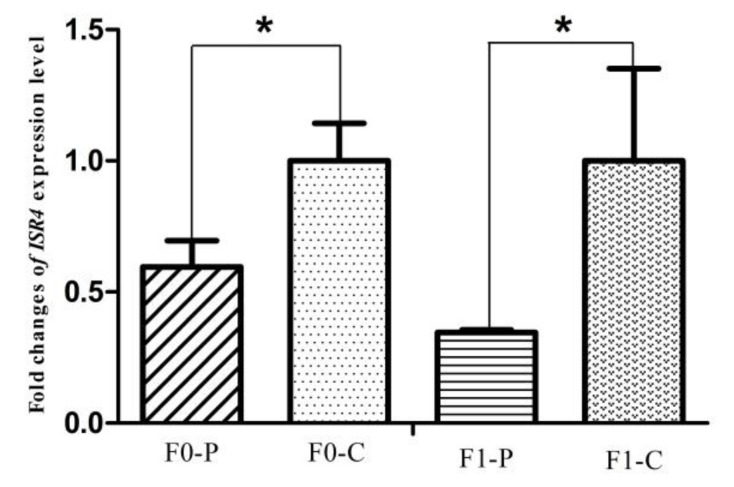 Figure 11