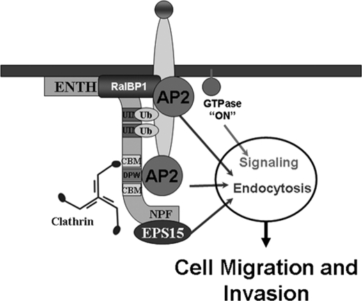 FIGURE 6.