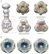 Extended data Figure 8