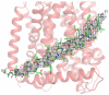 Extended data Figure 2