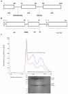 Extended Data Figure 4