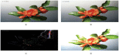 Fig 3
