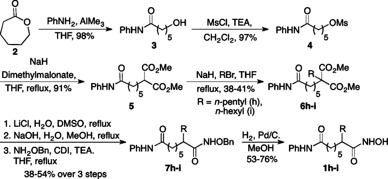 Scheme 1