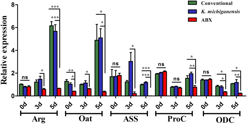 Fig 5