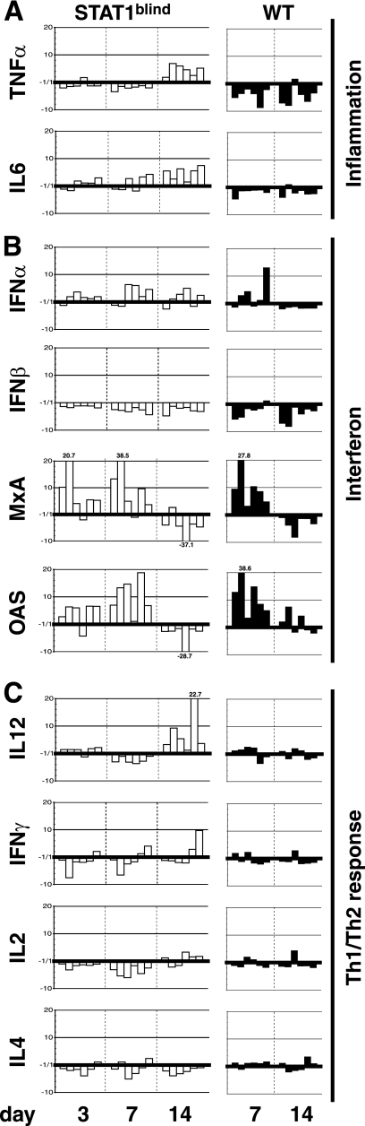 FIG. 6.