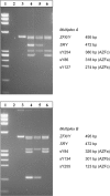 Fig A1