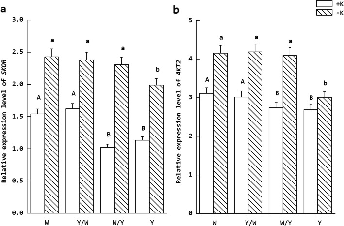 Fig. 5