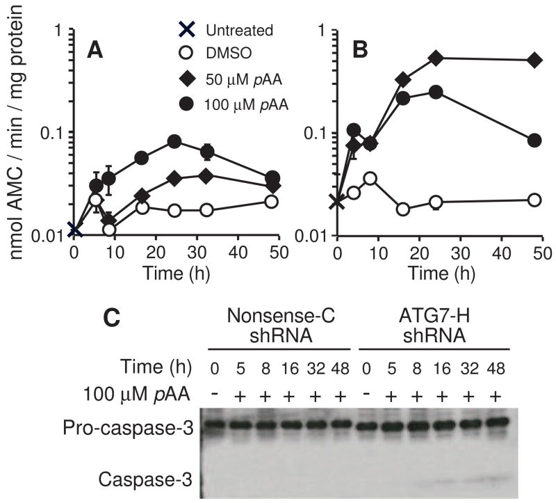 Fig. 10