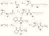 Scheme 5