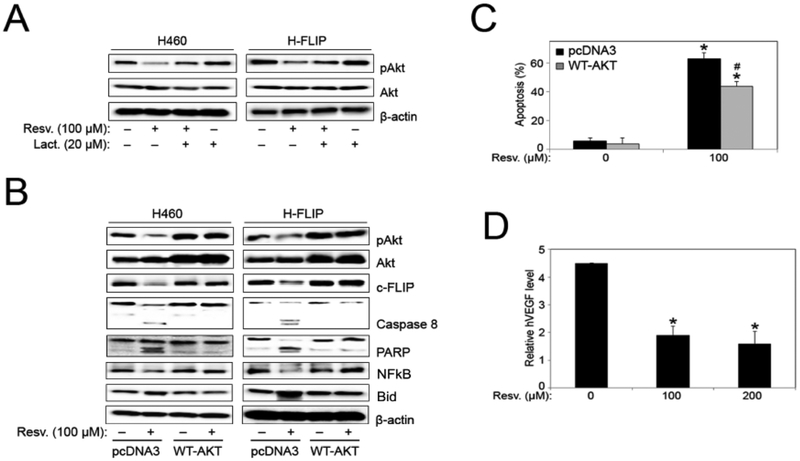 Fig. (6).