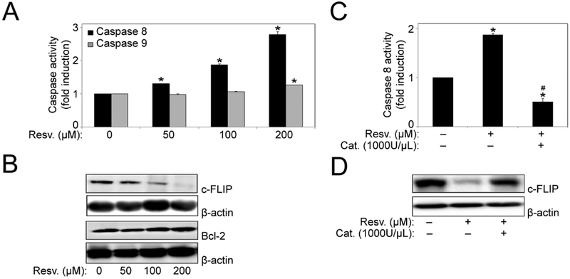 Fig. (3).