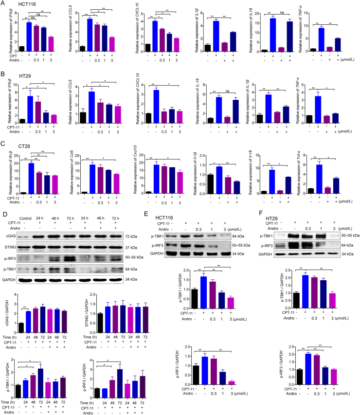 Figure 5