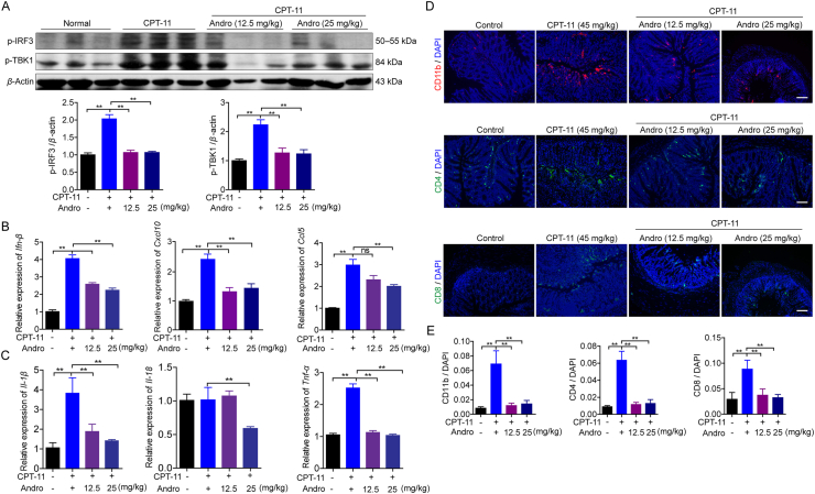 Figure 4