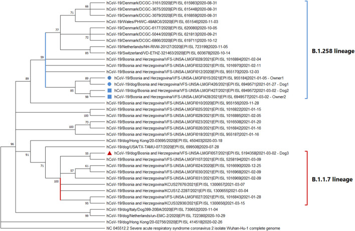 FIGURE 2