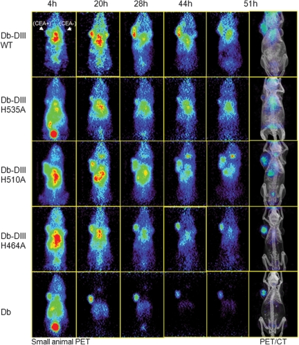 Fig. 4