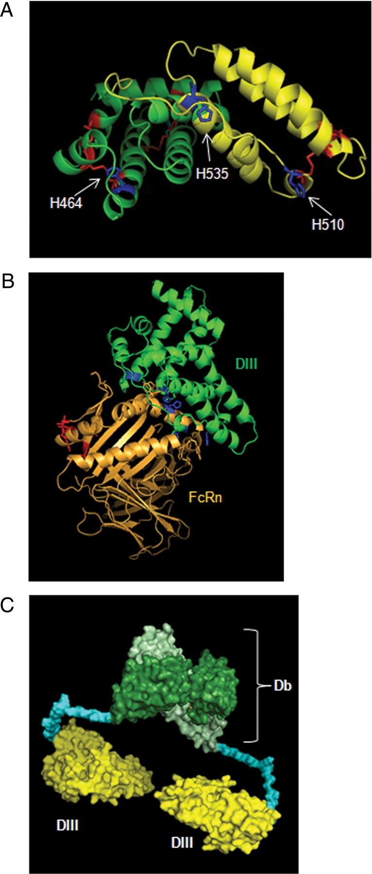 Fig. 3