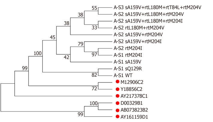 Figure 2