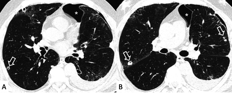 Fig. 8