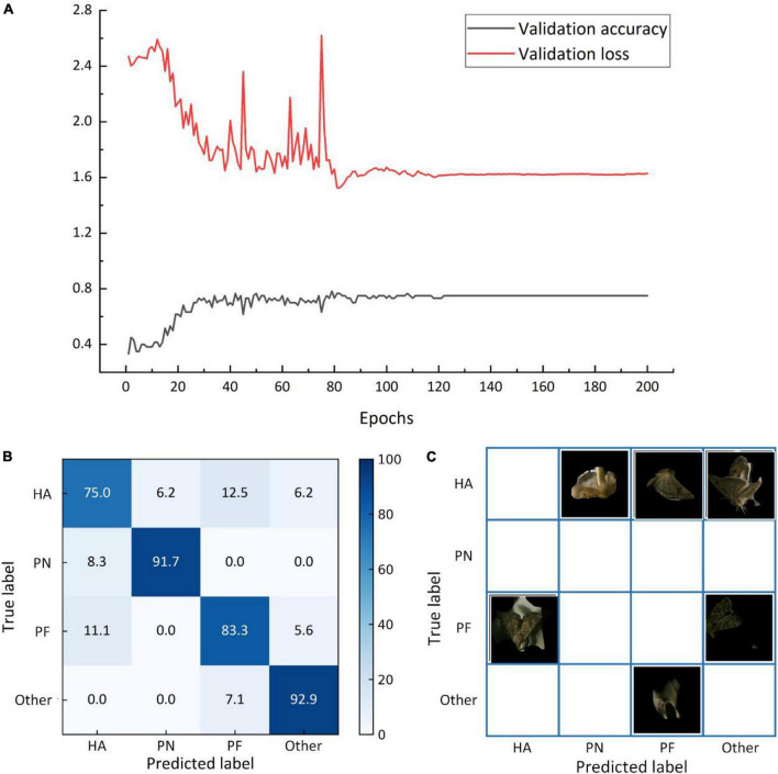 FIGURE 11