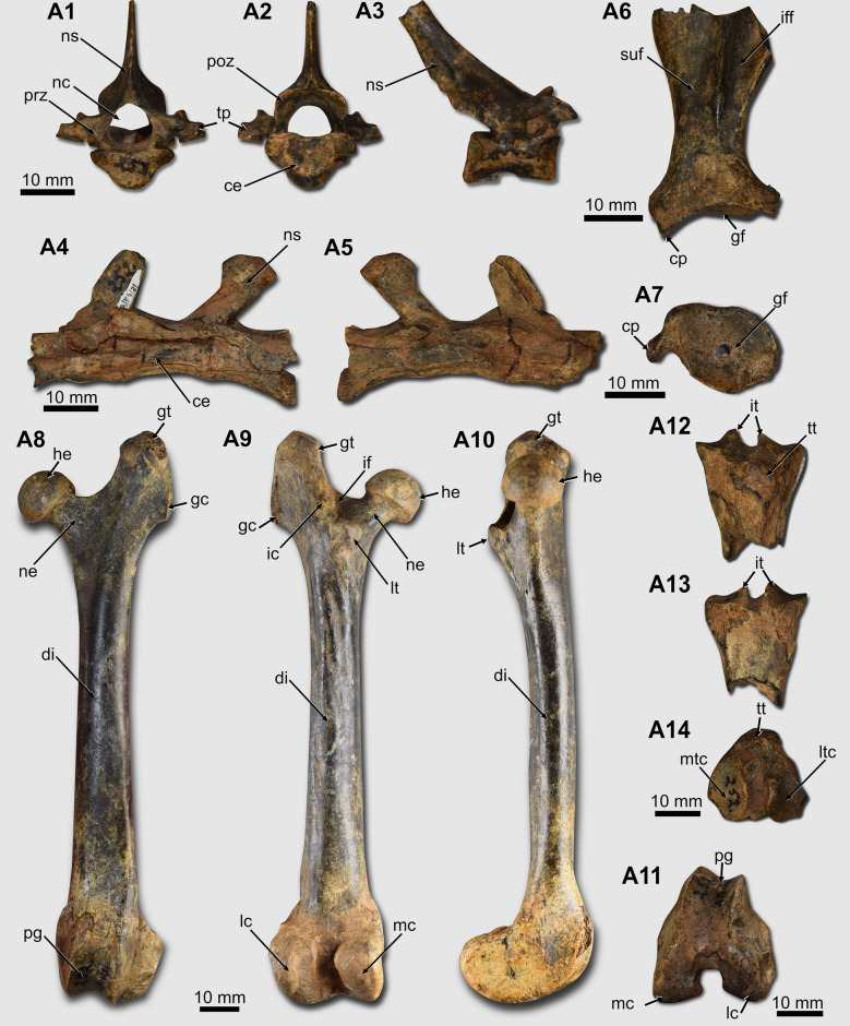 Fig. 4