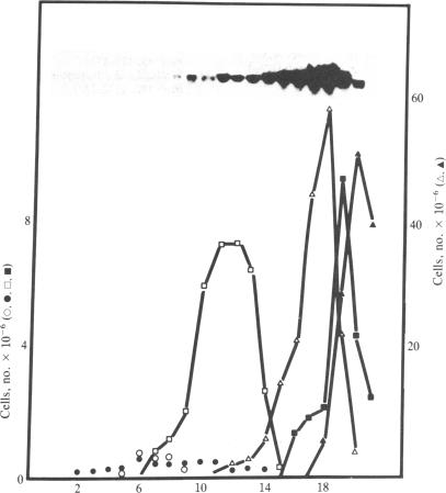 graphic file with name pnas00318-0052-a.jpg