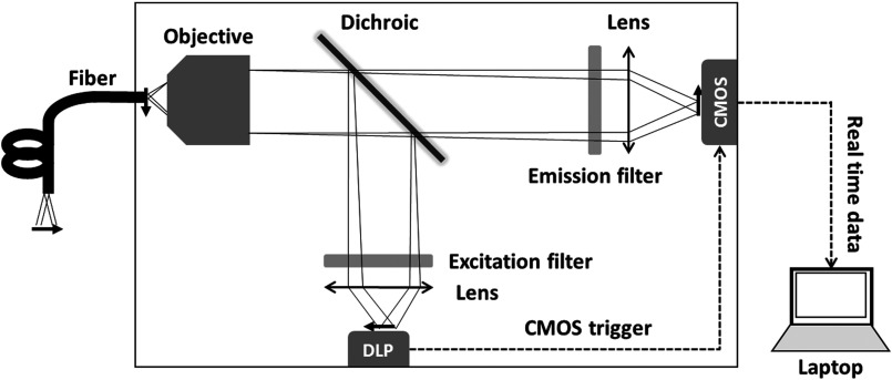 Fig. 1