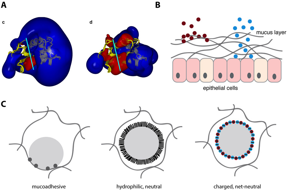 Figure 2.