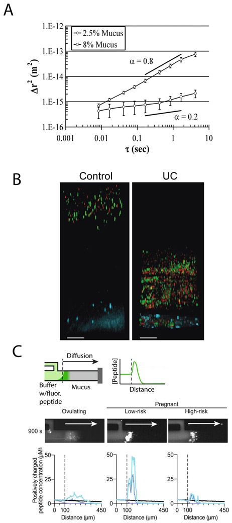 Figure 3: