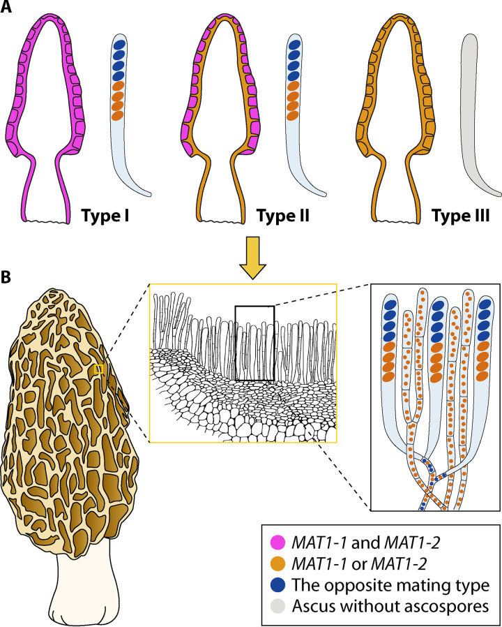 FIG 3