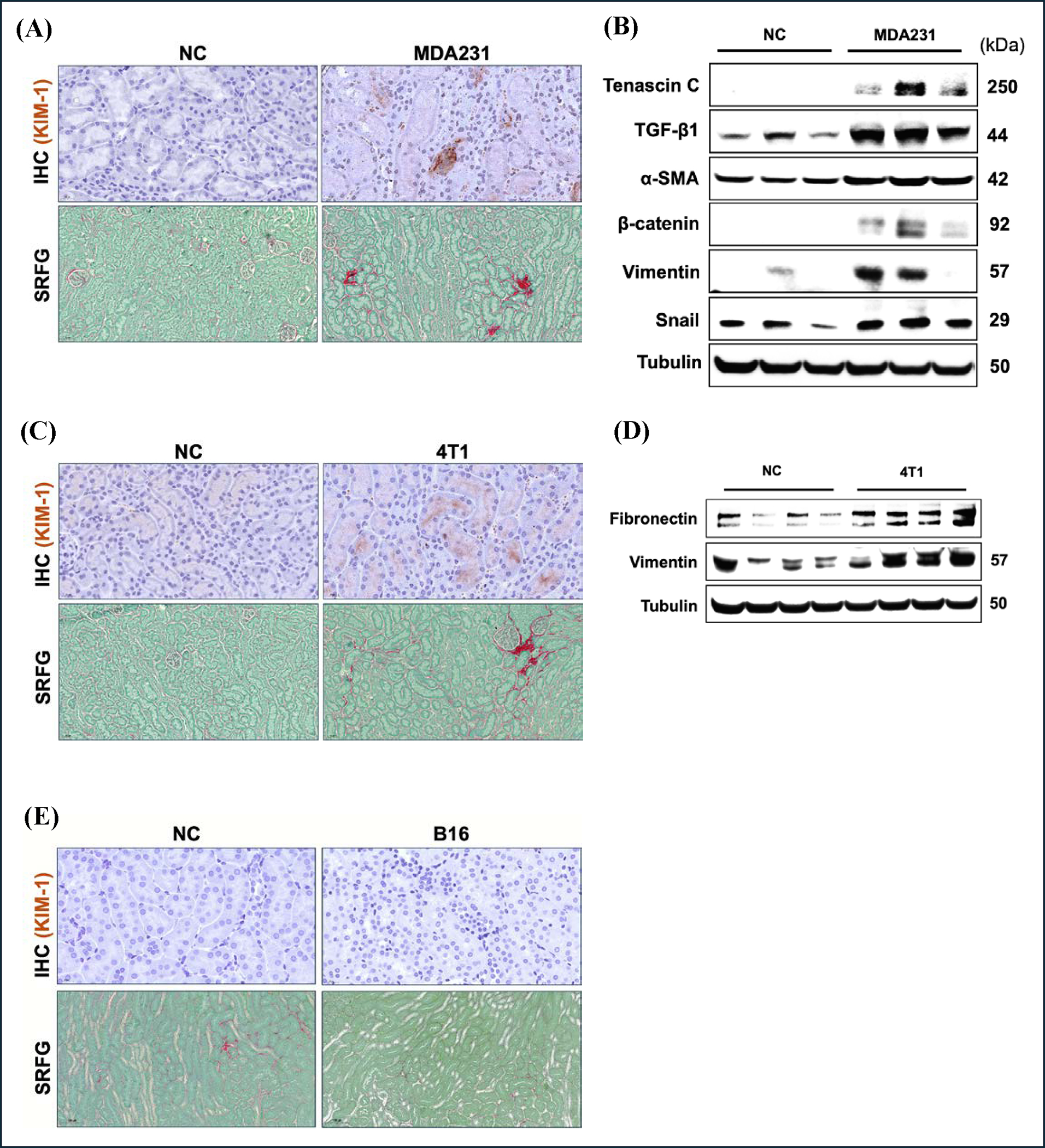 Figure 10.