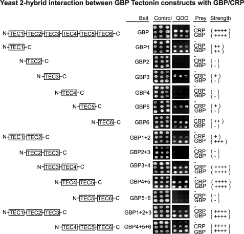 FIGURE 4.