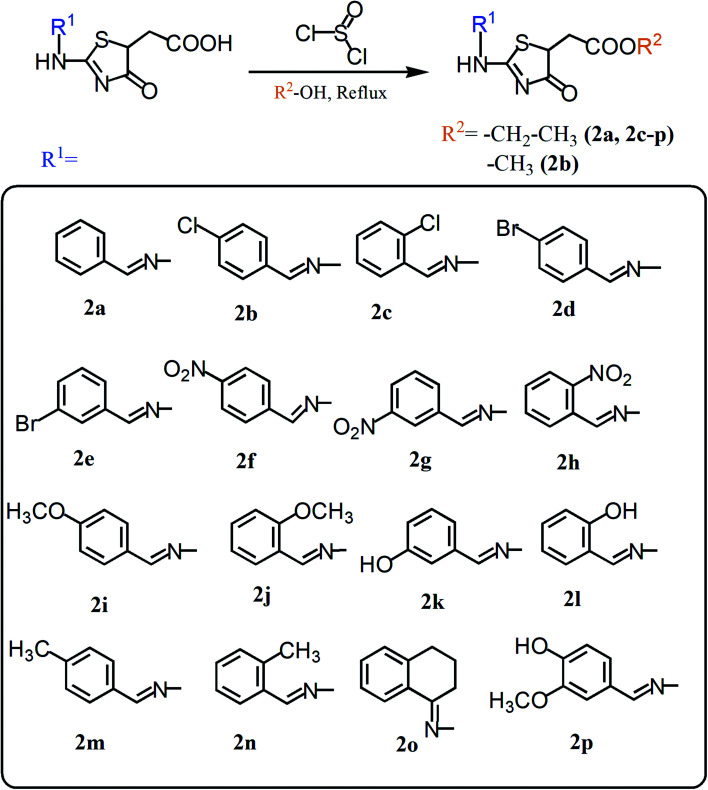 Scheme 2