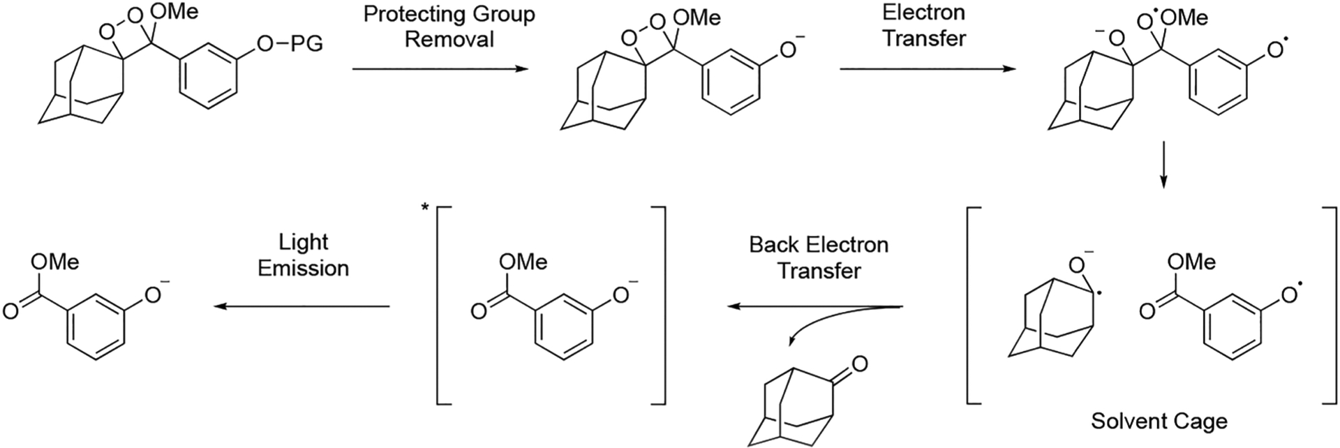 Scheme 1.