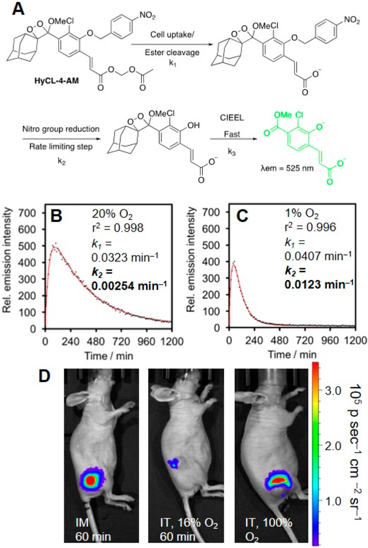 Figure 10.