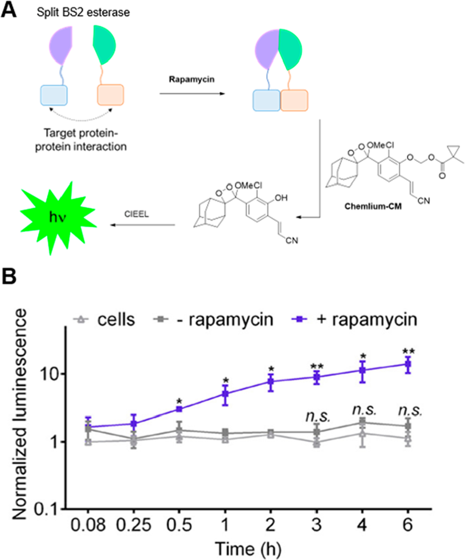 Figure 12.