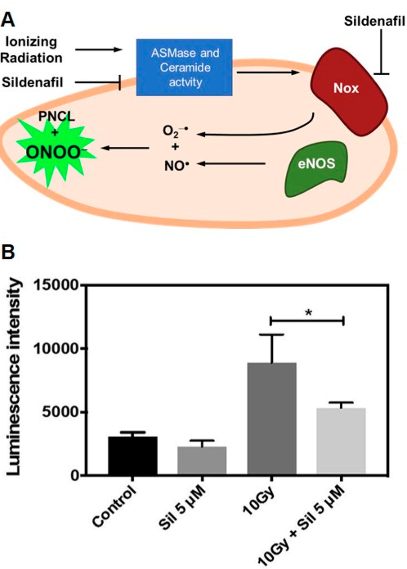 Figure 11.