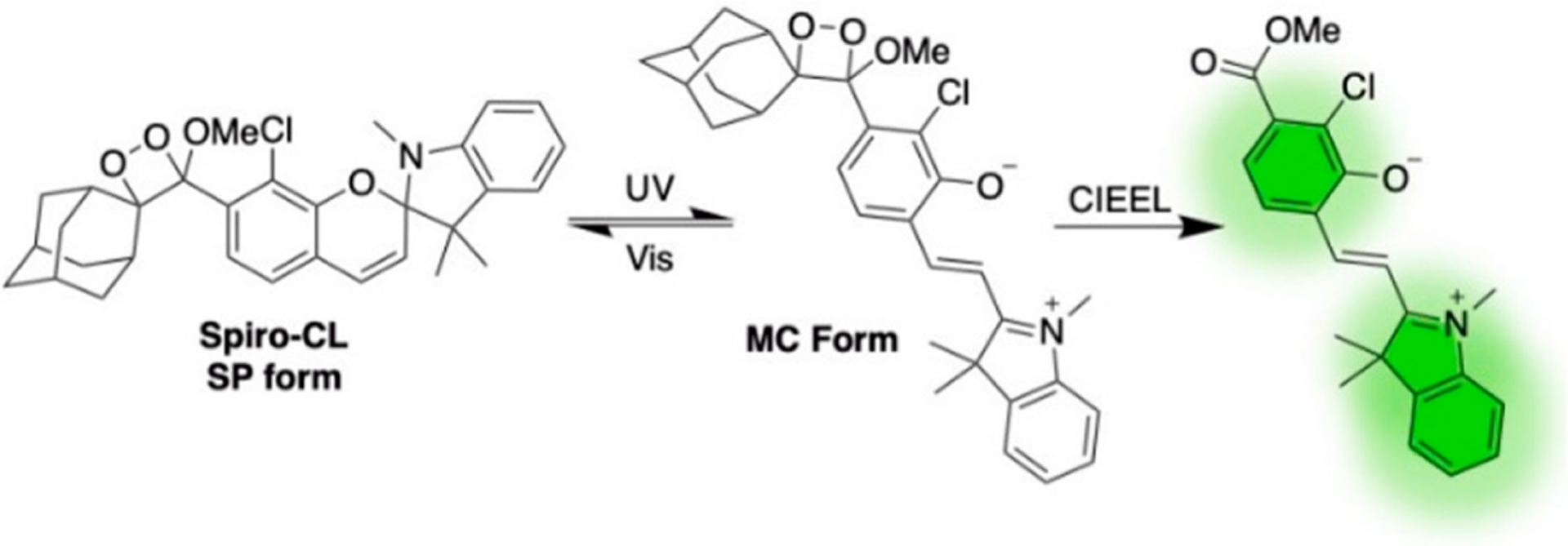 Figure 14.