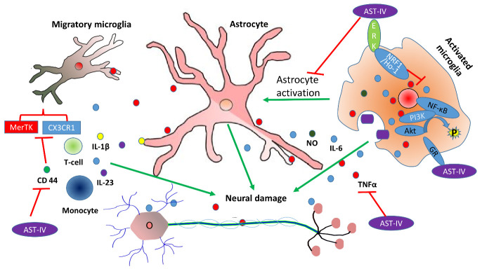 Figure 3.